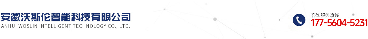 安徽沃斯伦智能科技有限公司